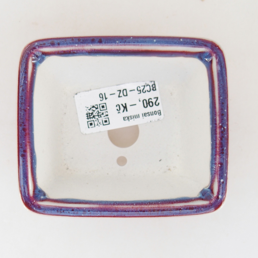 Mini bonsai 8,5 x 7,5 x 4 cm, colore viola