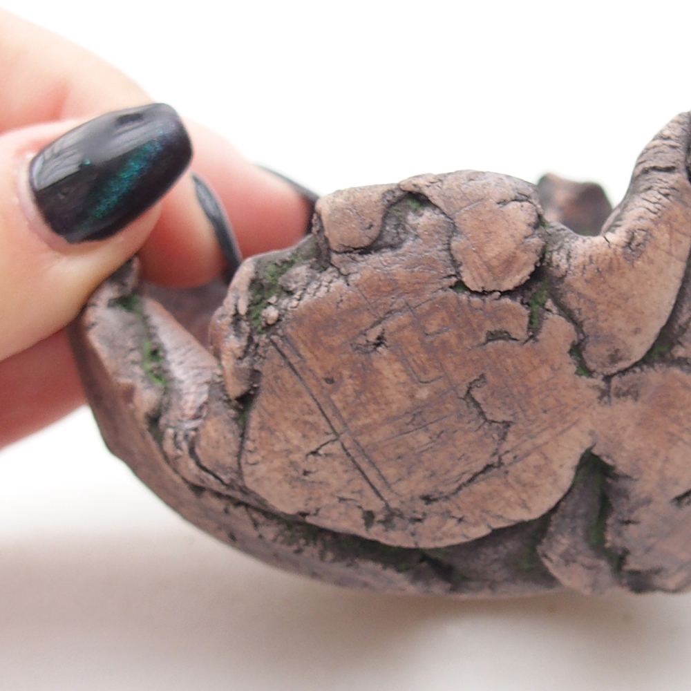 Conchiglia in ceramica 8,5 x 6 x 6,5 cm , colore verde