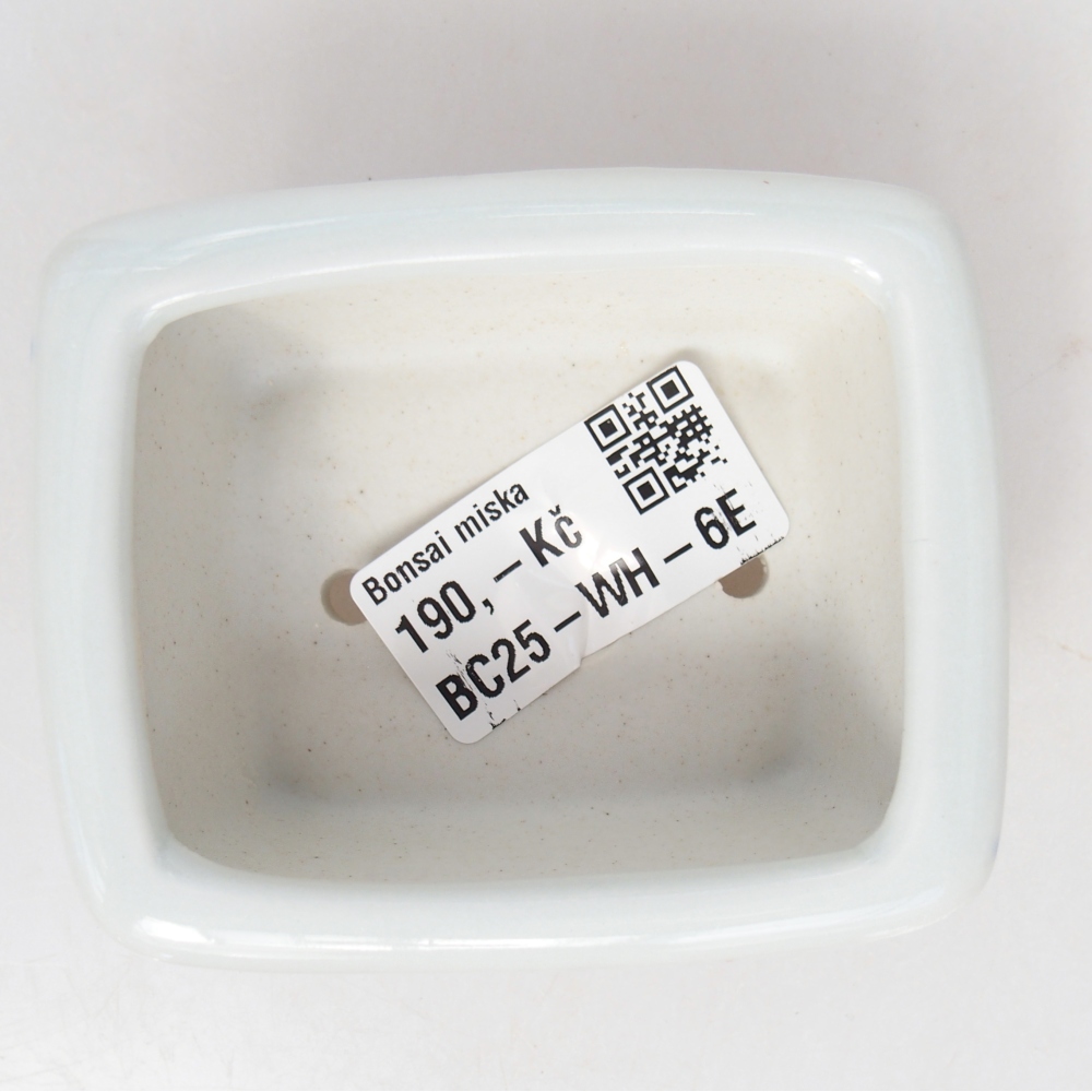 Mini bonsai 8 x 6,5 x 3,5 cm, bianco