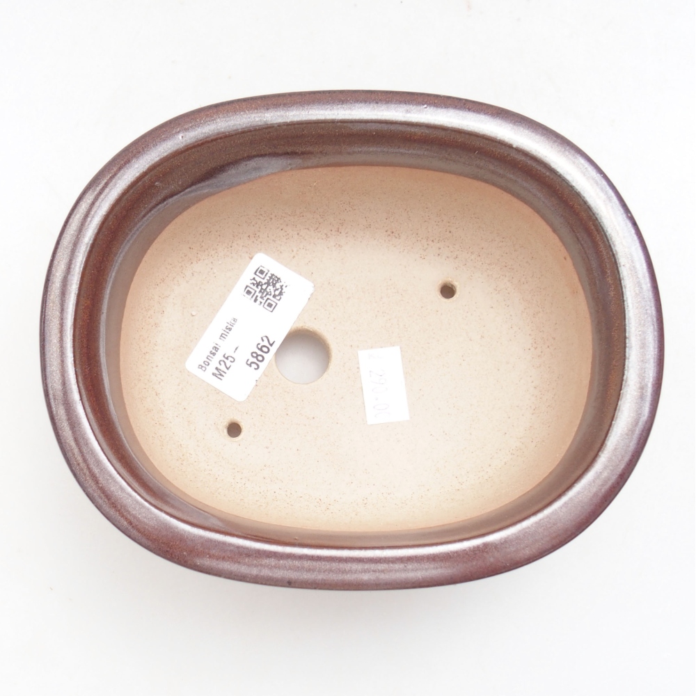 Ciotola bonsai in ceramica 22 x 17 x 5 cm, verde