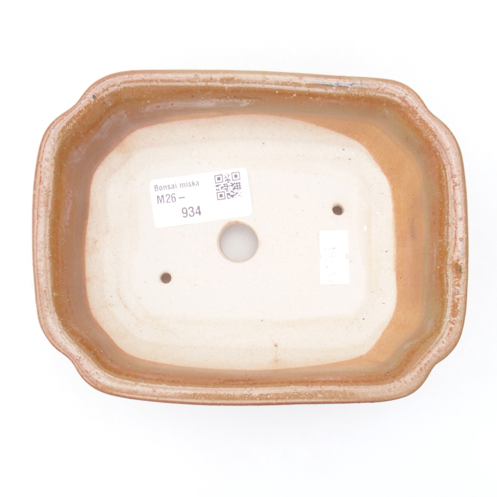 Ciotola per bonsai in ceramica 15,5 x 12 x 4,5 cm, marrone