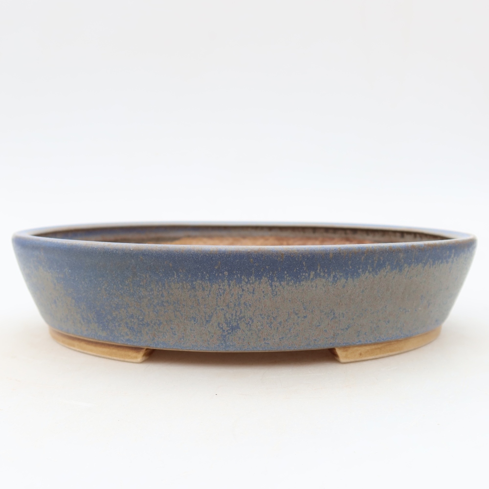 Vaso da bonsai in ceramica 21 x 19 x 4,5 cm, colore blu