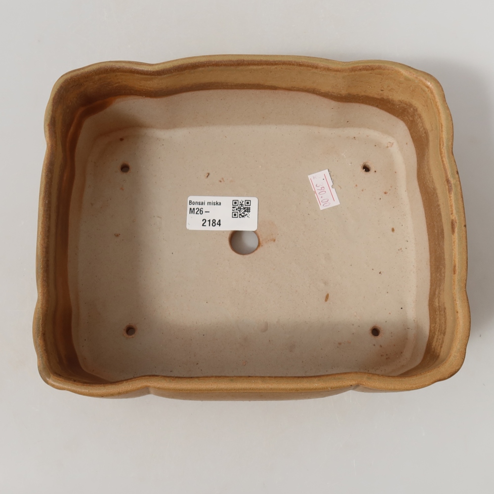 Vaso da bonsai in ceramica 20,5 x 17,5 x 7 cm, colore beige