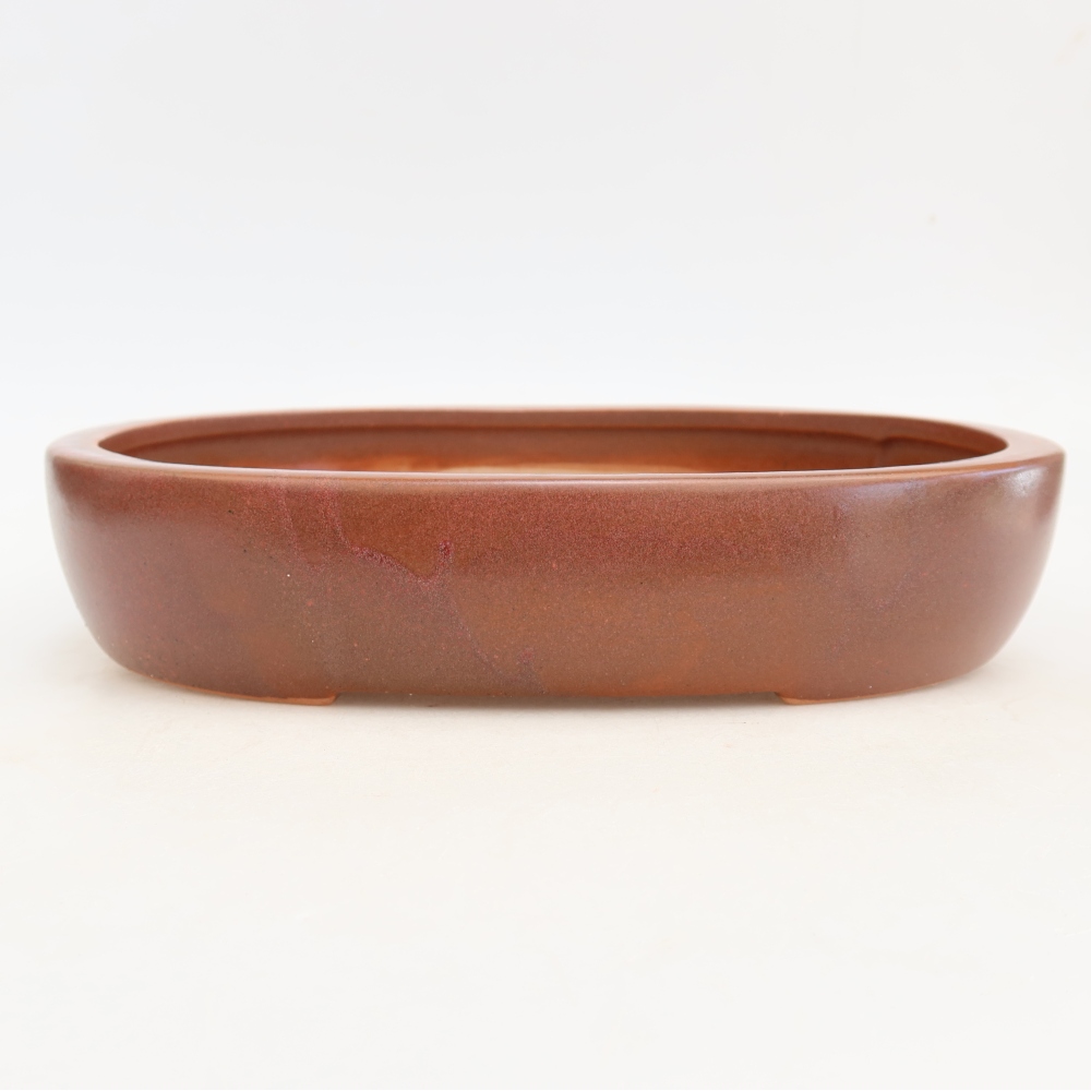 Vaso da bonsai in ceramica 27 x 21 x 5,5 cm, colore bordeaux