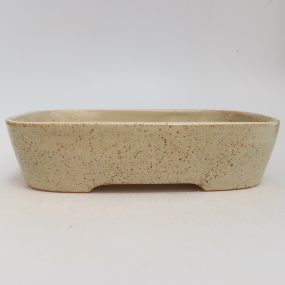 Vaso da bonsai in ceramica 23 x 18 x 5,5 cm, colore beige