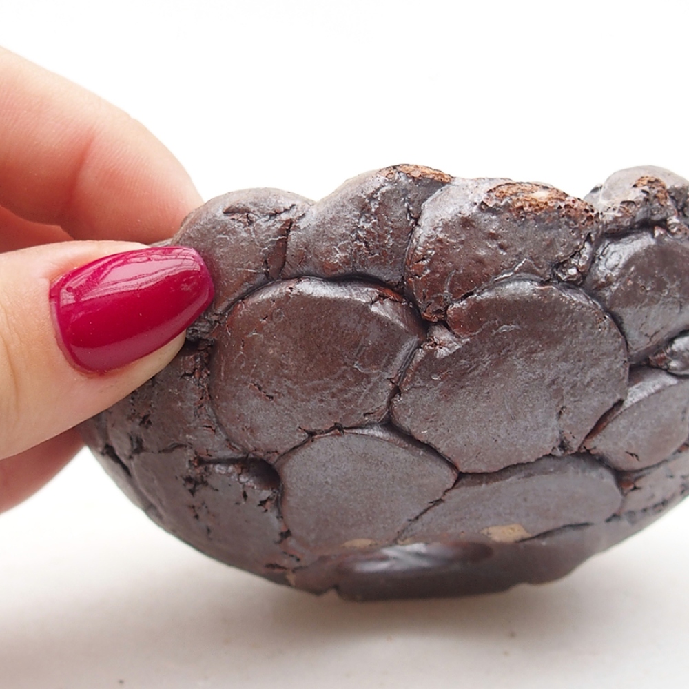 Conchiglia in ceramica 9 x 9 x 4 cm , colore marrone