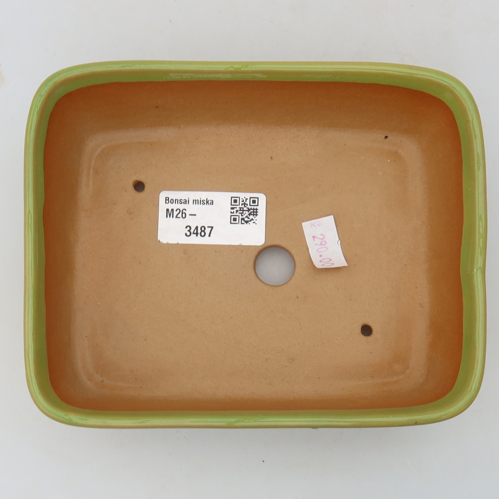 Ciotola per bonsai in ceramica 15 x 12,5 x 4,5 cm, verde