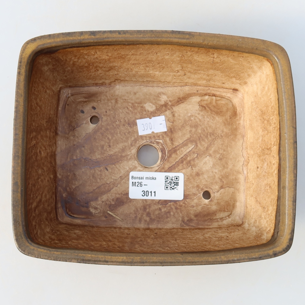 Vaso da bonsai in ceramica 18,5 x 15,5 x 6 cm, colore marrone