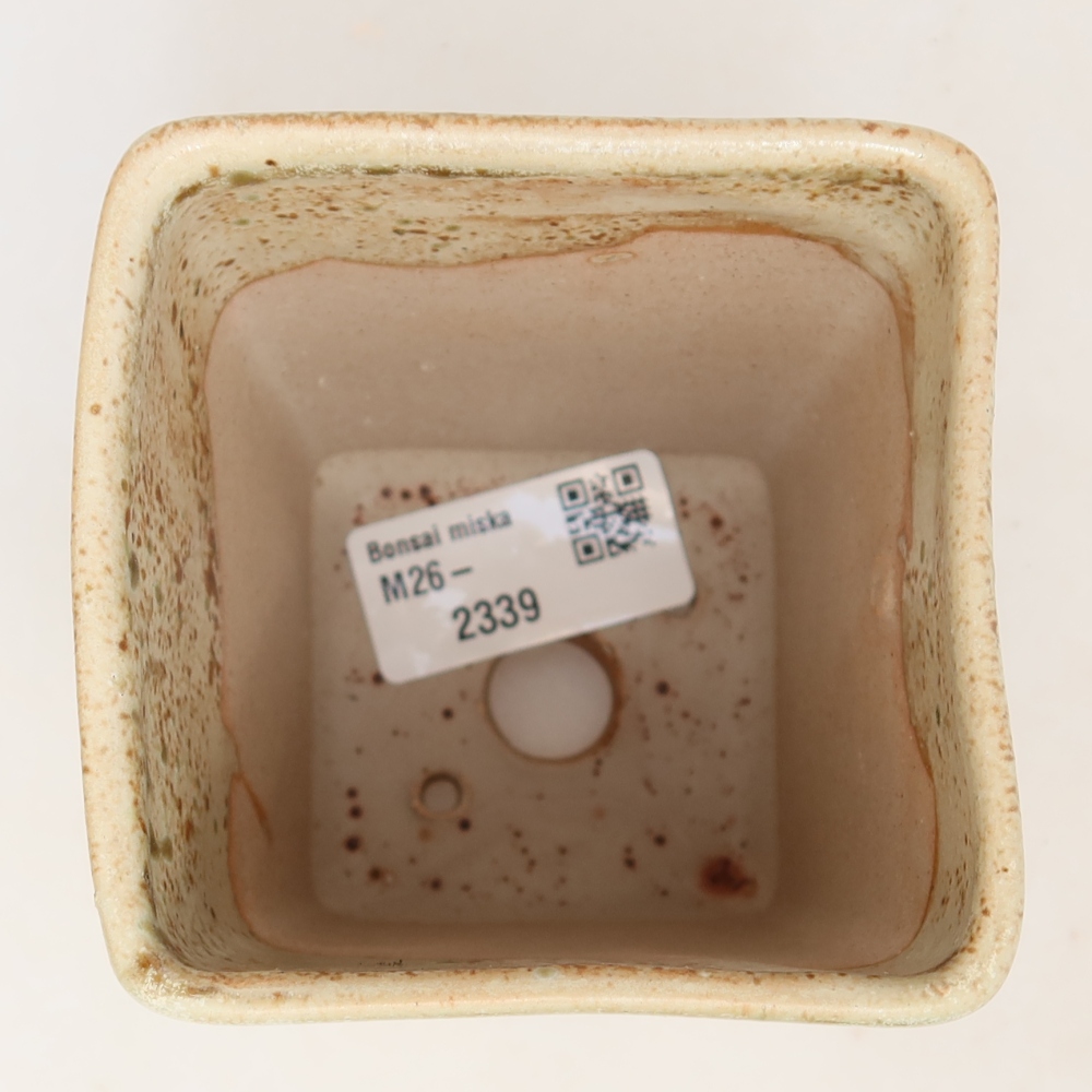 Vaso da bonsai in ceramica 7,5 x 7,5 x 11 cm, colore beige