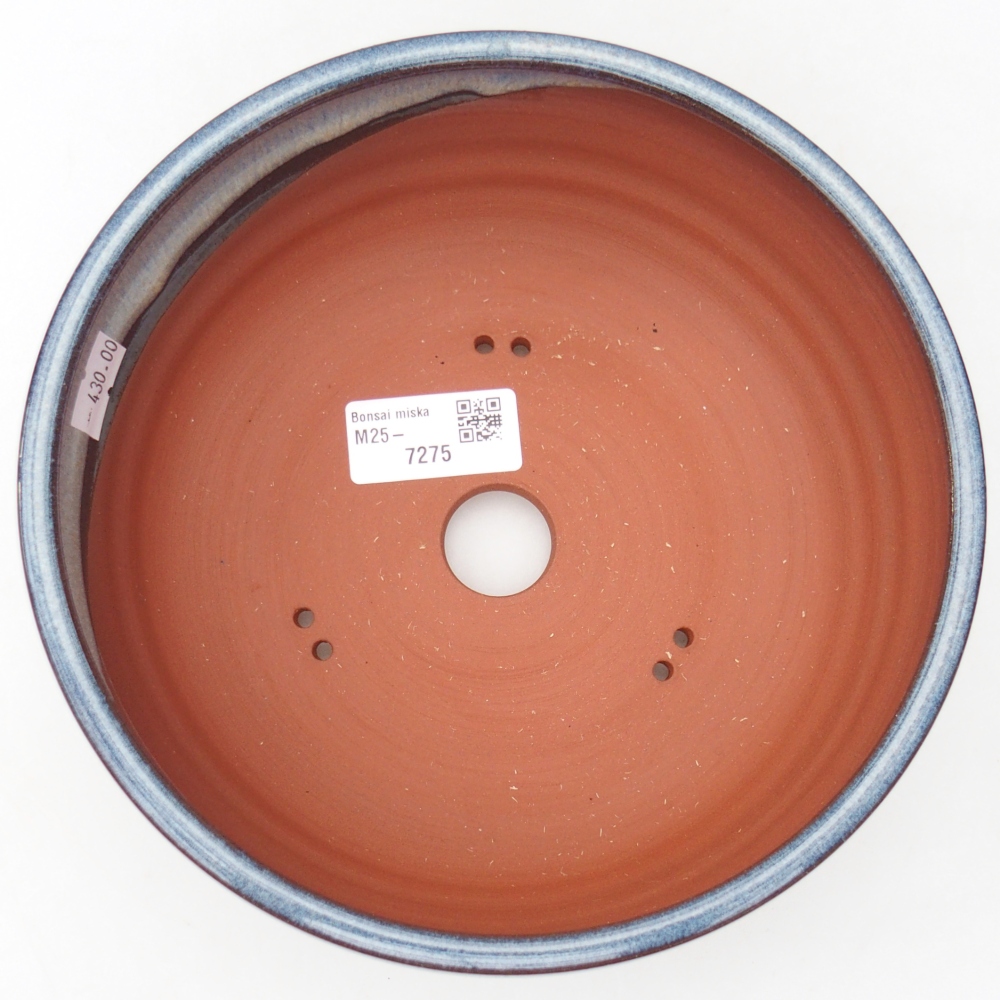 Ciotola bonsai in ceramica 19 x 19 x 7 cm, colore blu