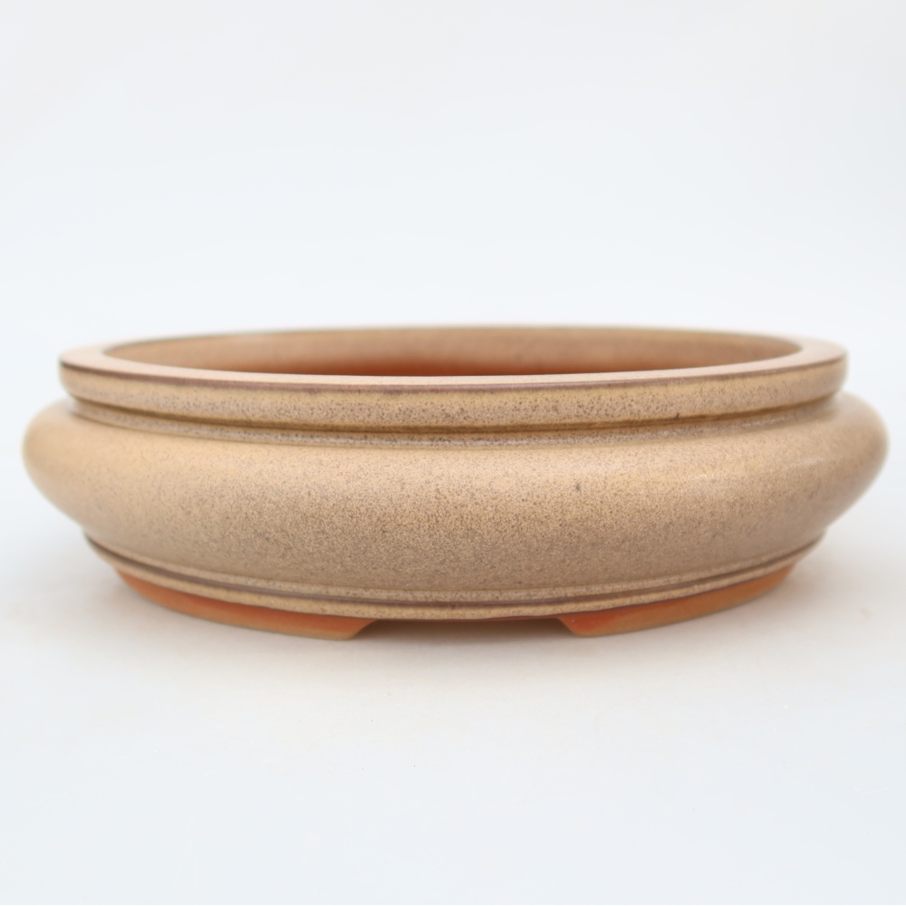 Ciotola in ceramica  23 x 23 x 7 cm, colore beige