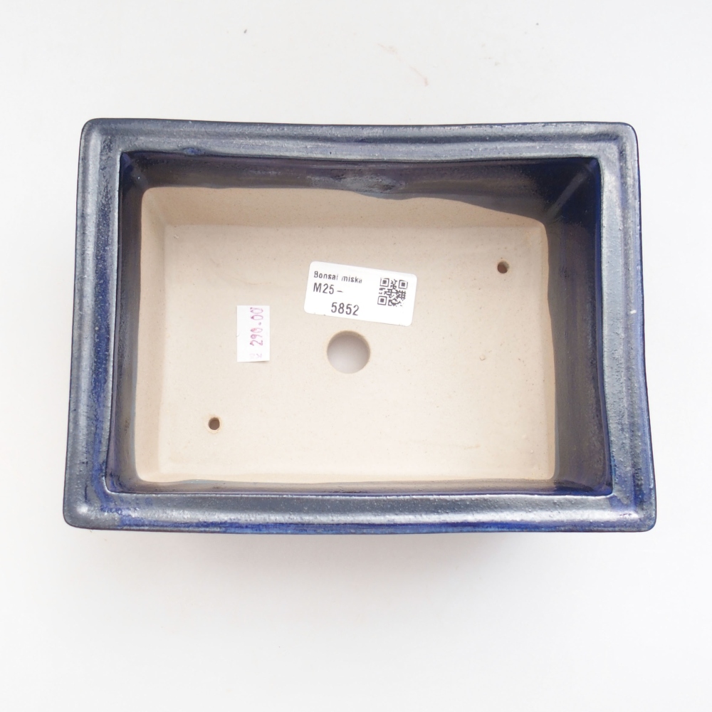 Ciotola bonsai in ceramica 22 x 17 x 5 cm, verde