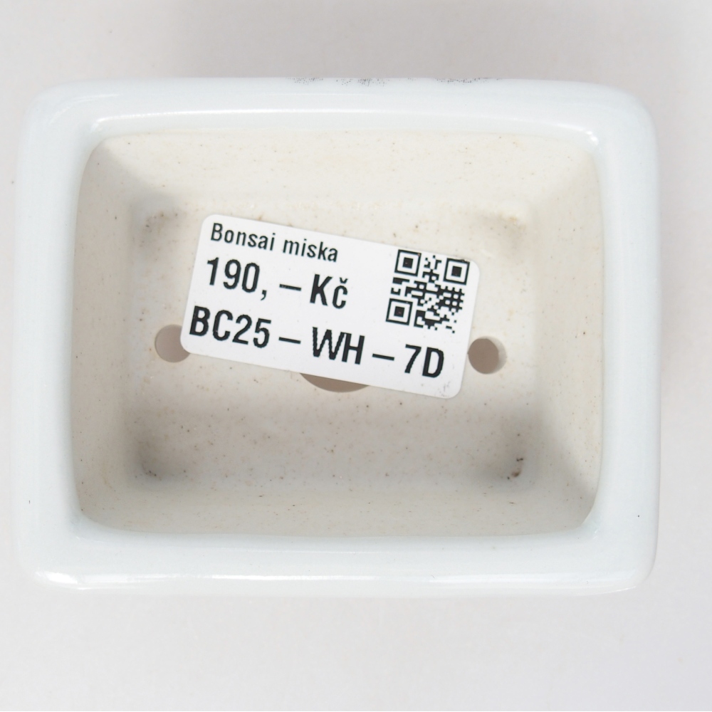 Mini bonsai 8 x 6 x 3 cm, bianco