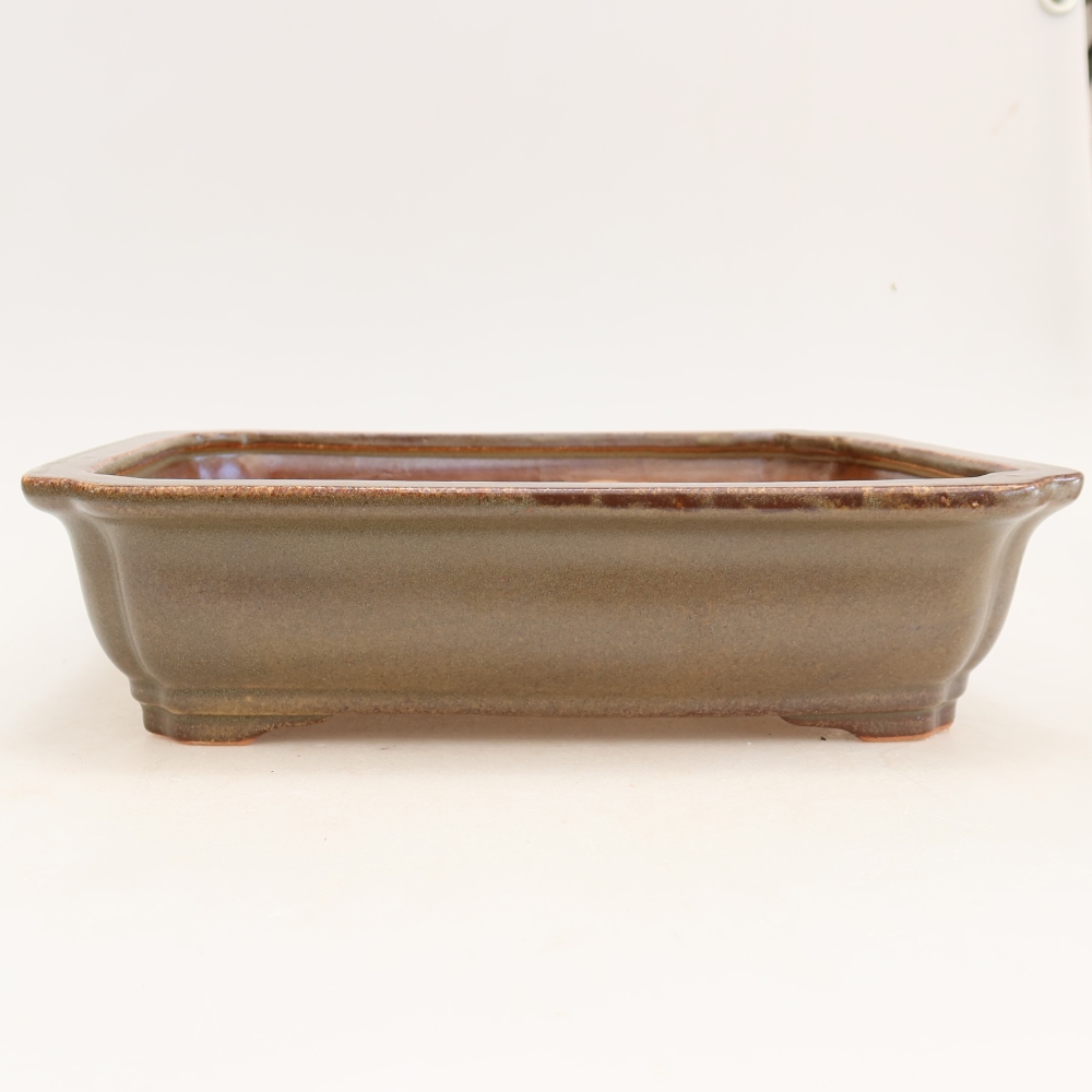 Vaso da bonsai in ceramica 27,5 x 21,5 x 7 cm, colore marrone