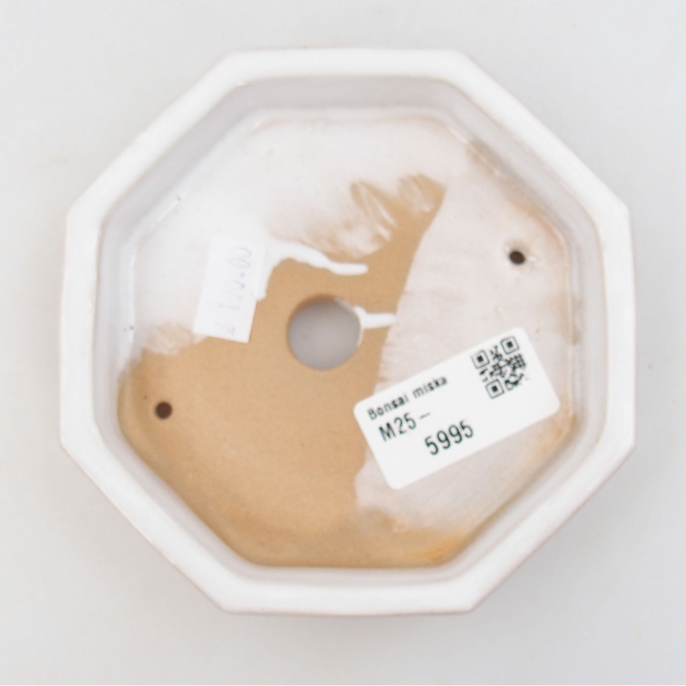 Ciotola bonsai in ceramica 22 x 17 x 5 cm, verde