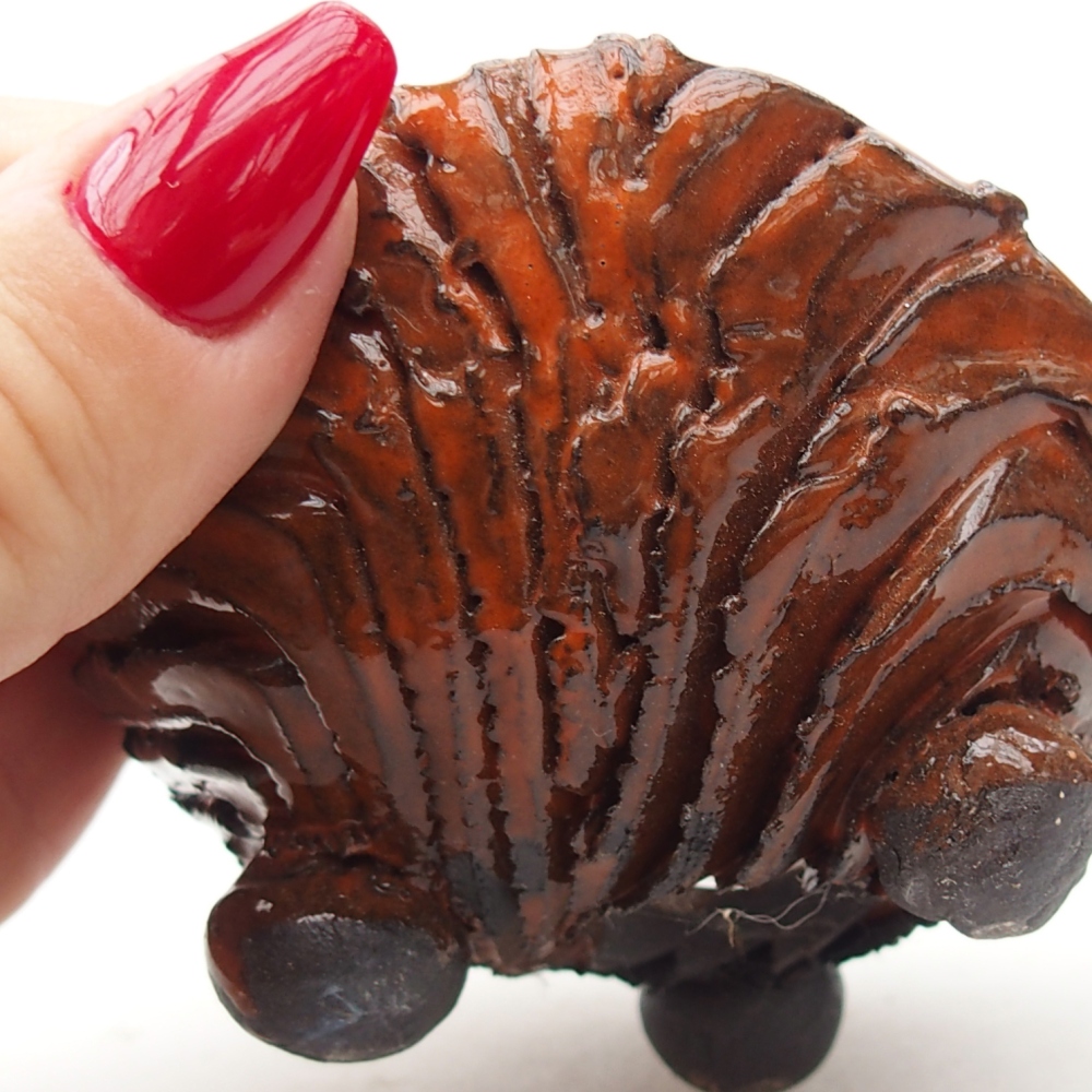 Conchiglia in ceramica 8,5 x 8,5 x 5 cm , colore arancione