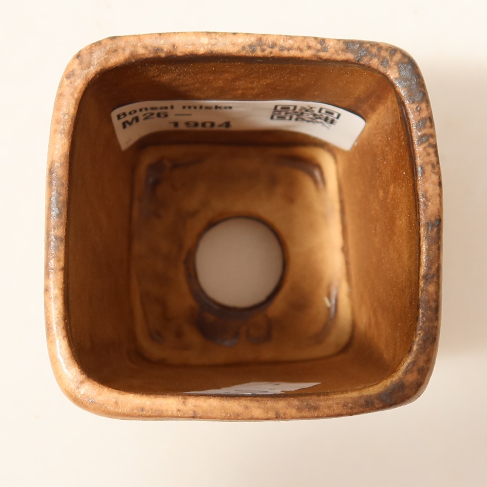 Vaso da bonsai in ceramica 5 x 5 x 6,5 cm, colore rosa