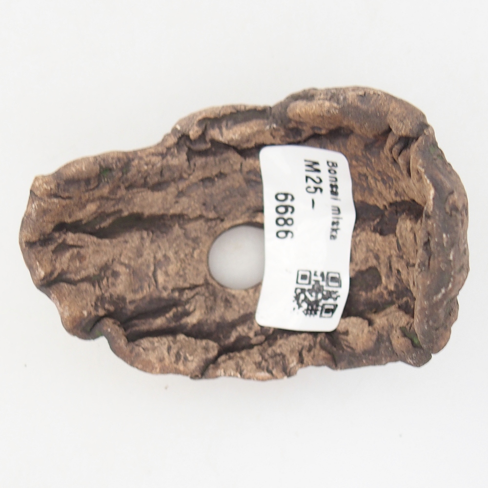 Conchiglia in ceramica 8 x 5,5 x 7 cm , colore verde