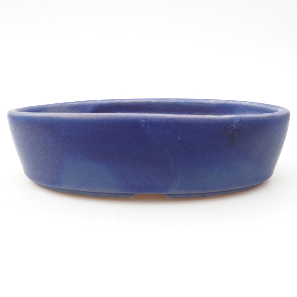 Ciotola bonsai in ceramica 16,5 x 11,5 x 4,5 cm, colore blu