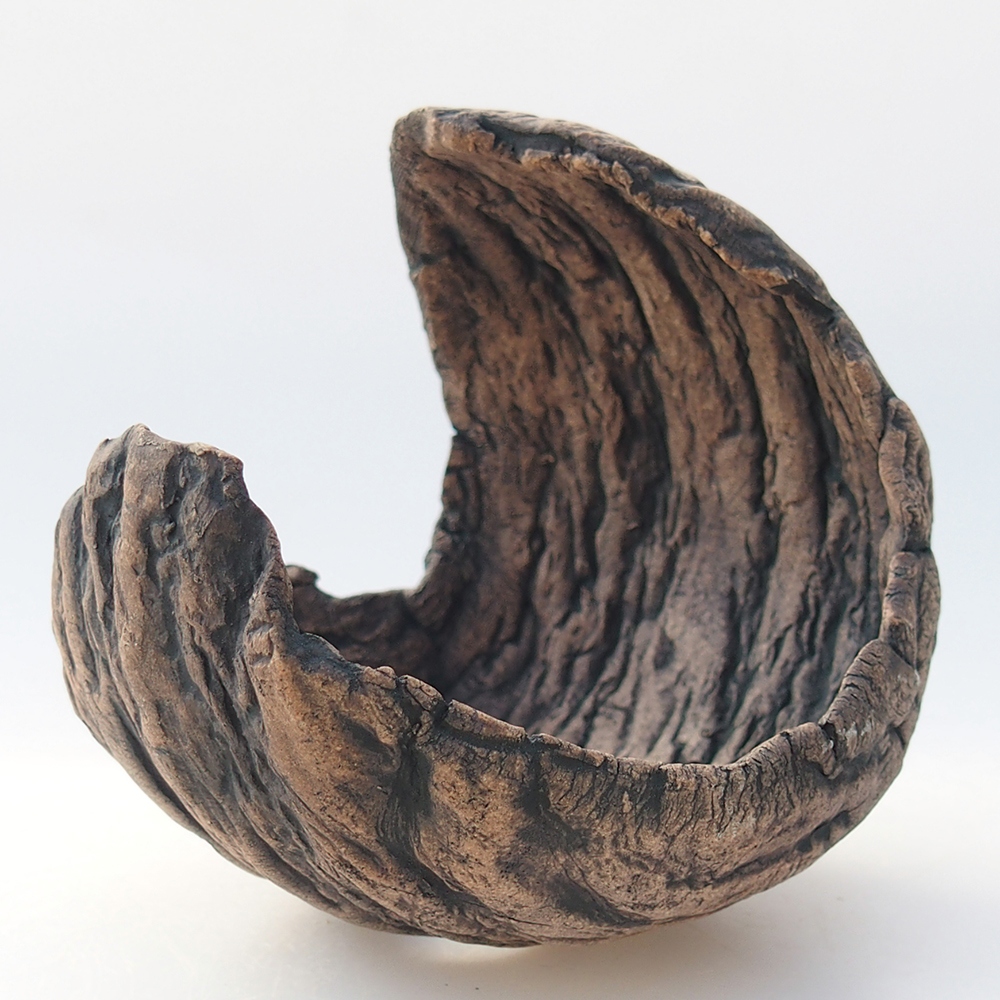 Conchiglia in ceramica 10 x 9,5 x 10 cm , colore marrone