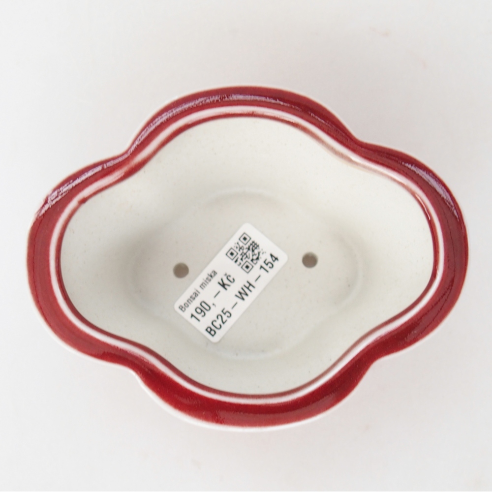 Ciotola per bonsai in ceramica 12,5 x 10 x 5,5 cm, colore rosso