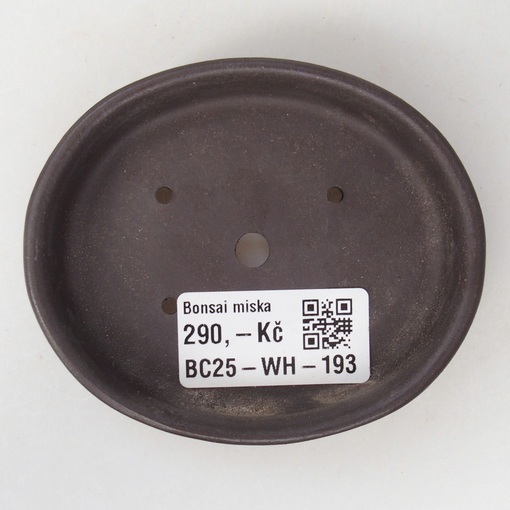 Mini bonsai 9 x 7,5 x 2 cm, marrone