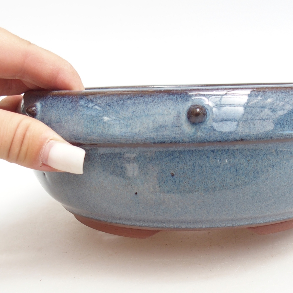 Ciotola bonsai in ceramica 18,5 x 18,5 x 7 cm, colore blu