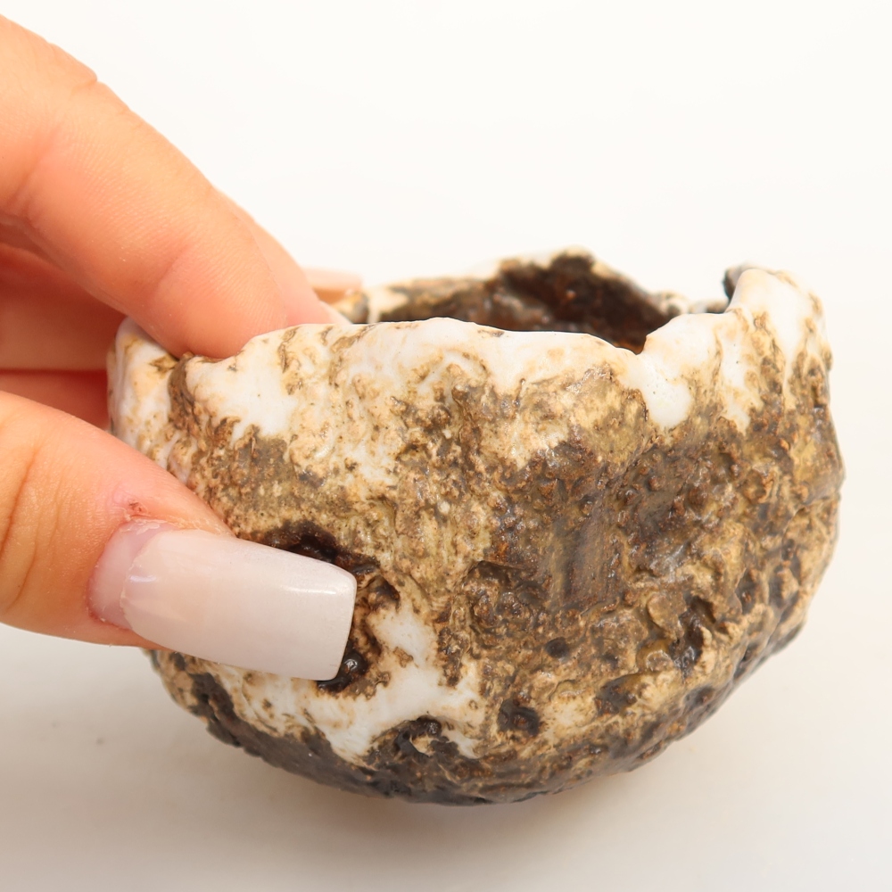 Guscio in ceramica  7,5 x 7 x 5 cm, colore bianco-marrone