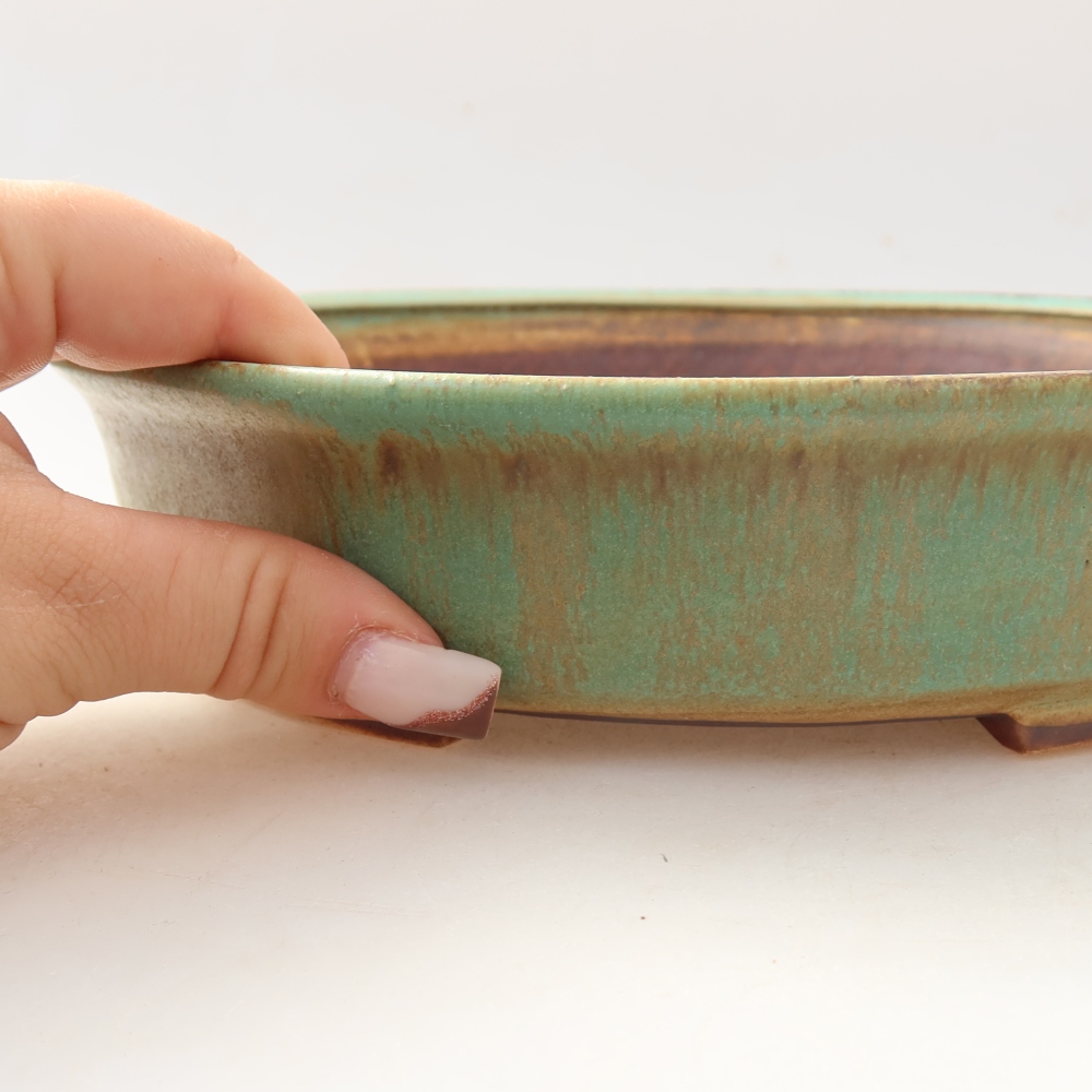 Ciotola bonsai in ceramica 21 x 19 x 5 cm, verde