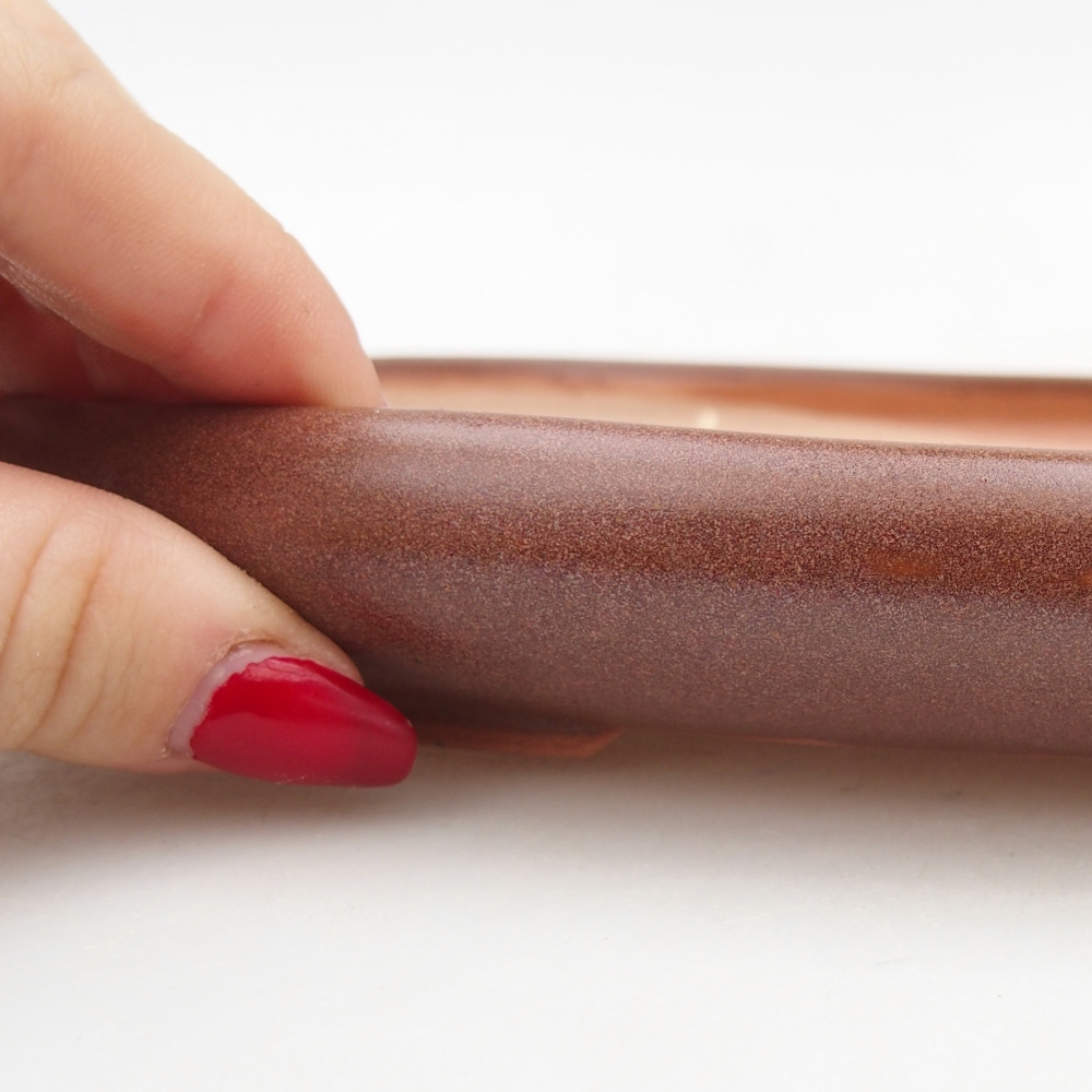 Ciotola per bonsai in ceramica 22 x 17 x 3 cm, marrone