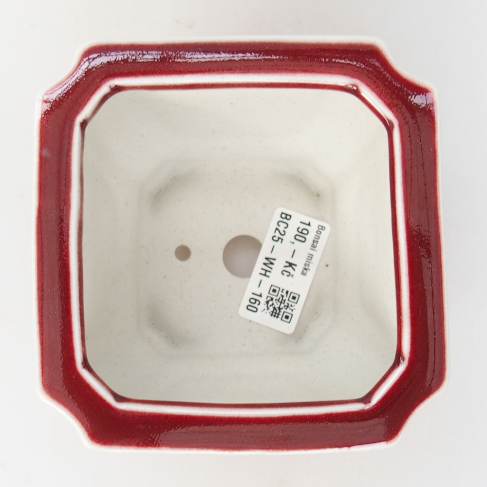 Ciotola bonsai in ceramica 11 x 11 x 7 cm, colore rosso
