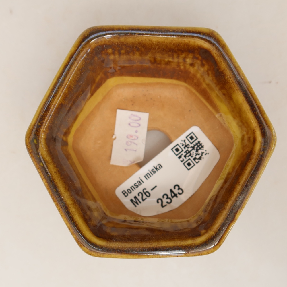 Vaso da bonsai in ceramica 7,5 x 7 x 4 cm, colore marrone-giallo