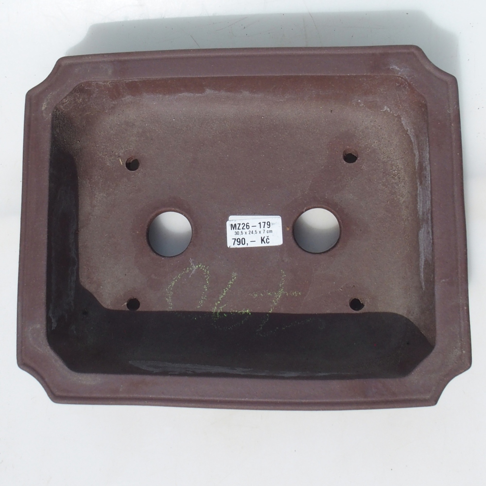 Ciotola per bonsai 30,5 x 24,5 x 7 cm betulla marrone