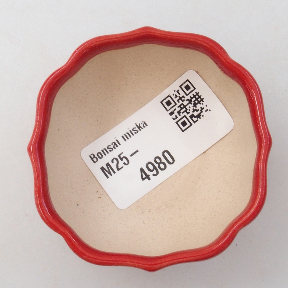 Mini bonsai 6 x 5,5 x 2,5 cm, colore rosso
