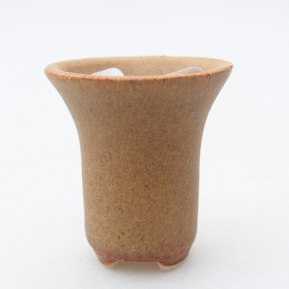 Mini bonsai 3 x 3 x 3,5 cm, marrone