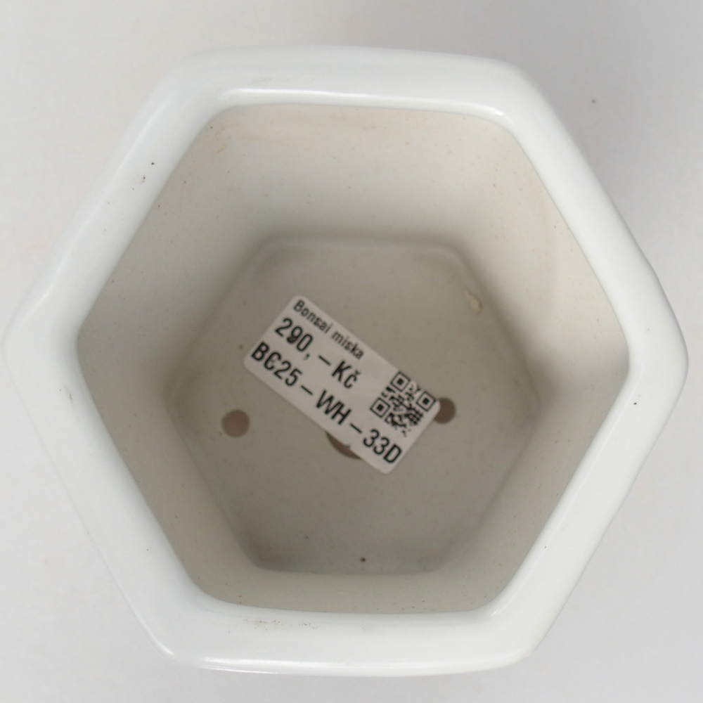 Ciotola per bonsai in ceramica 10,5 x 9,5 x 9 cm, colore bianco