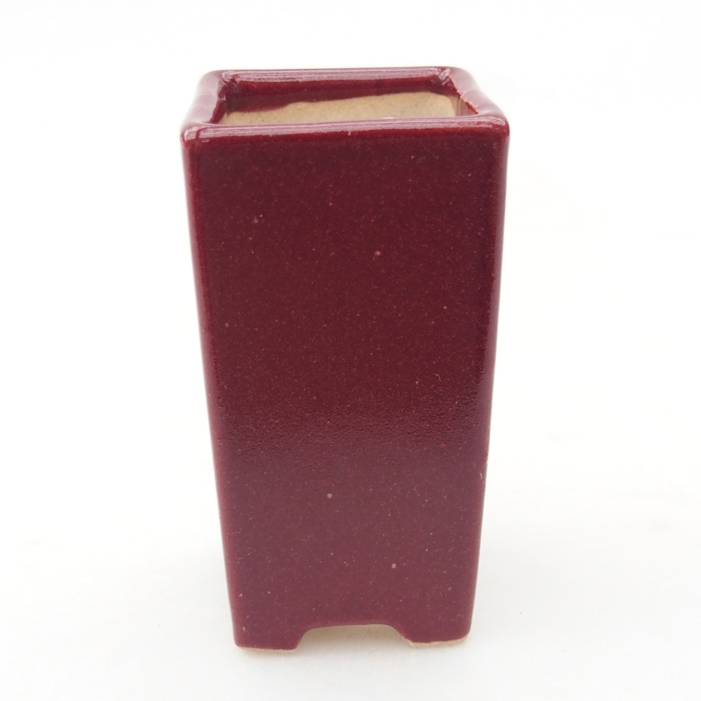 Mini bonsai 3 x 3 x 5,5 cm, bordeaux