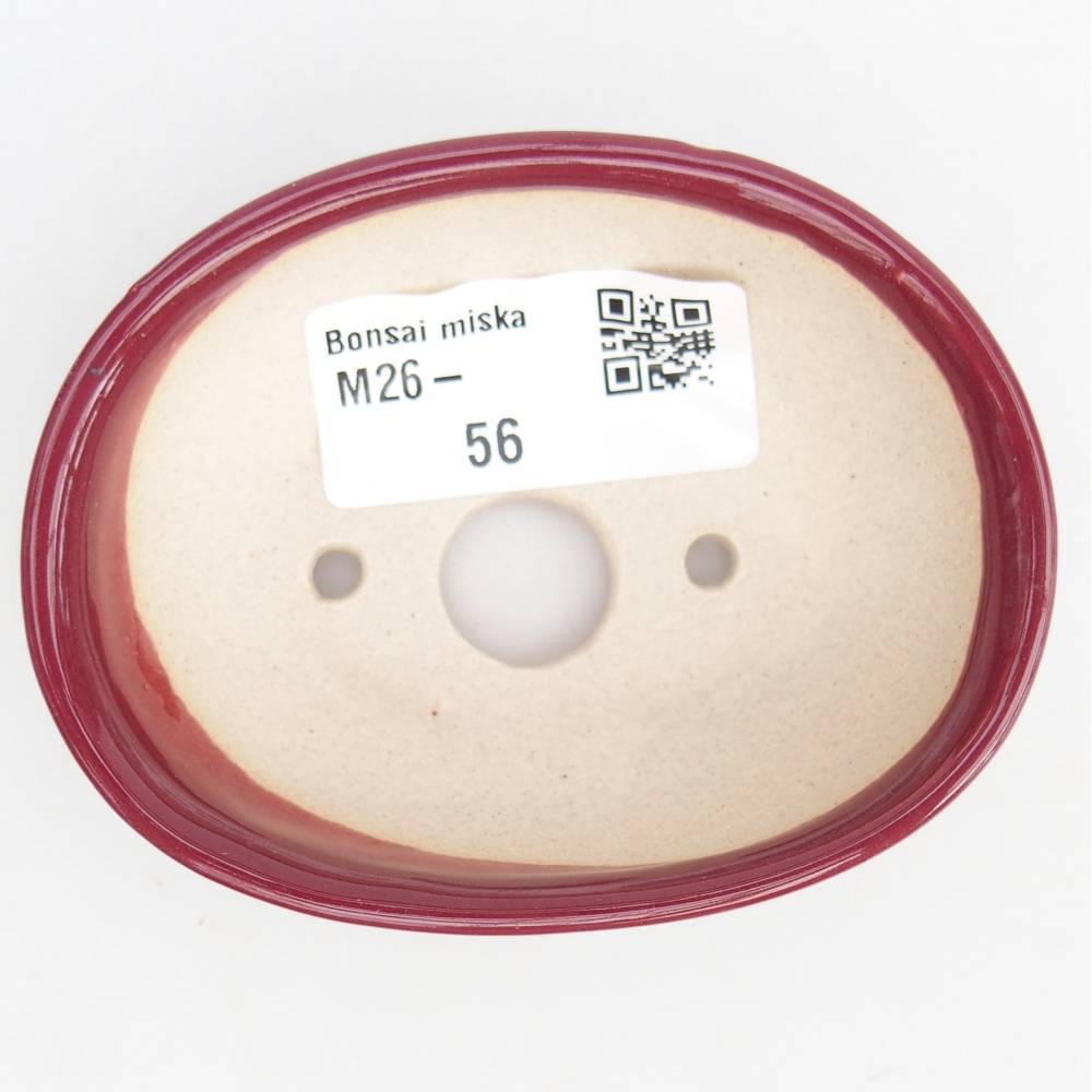 Mini bonsai 8 x 6 x 2,5 cm, bordeaux