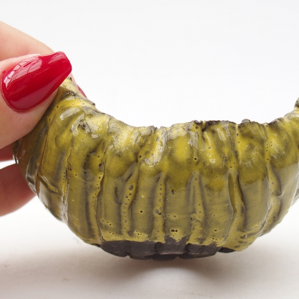 Conchiglia in ceramica 9 x 8 x 5 cm , giallo
