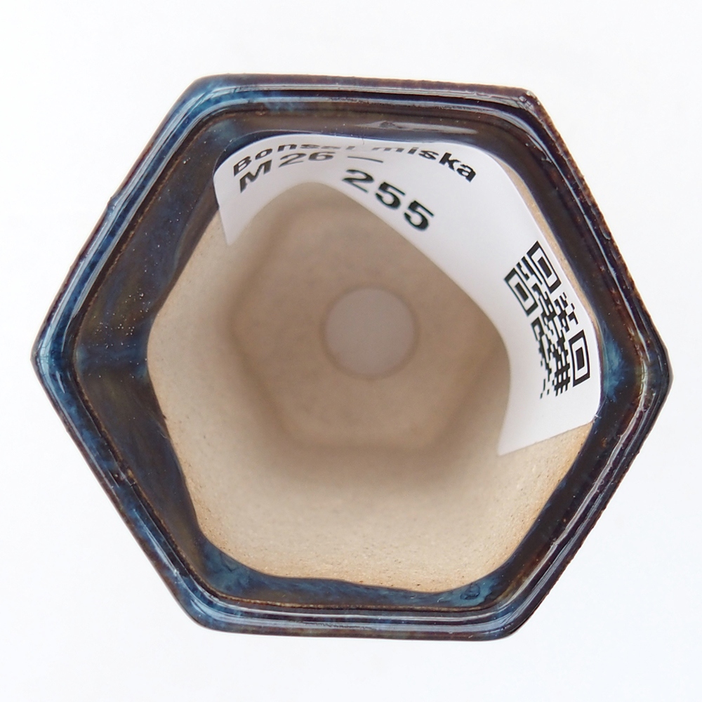 Mini bonsai 4 x 3,5 x 5,5 cm, colore blu