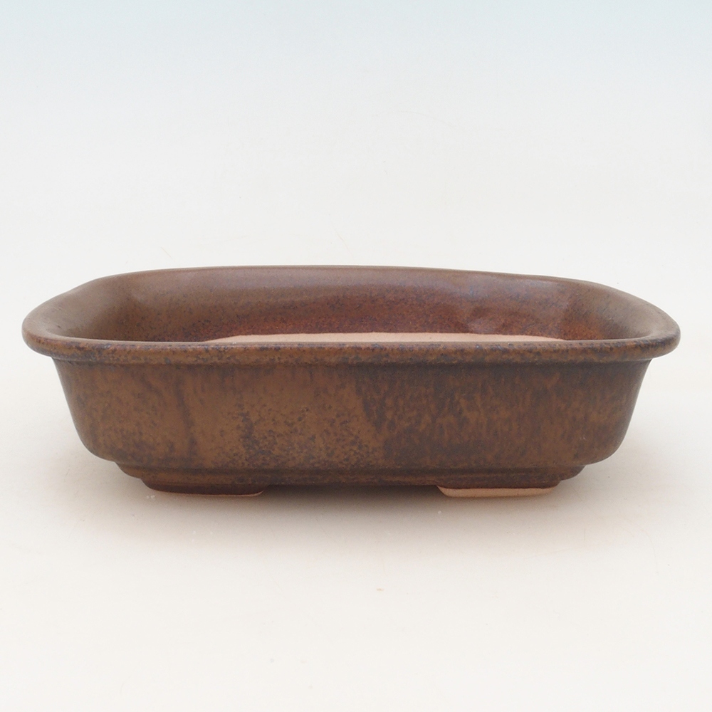 Ciotola bonsai + piattino H02 - marrone