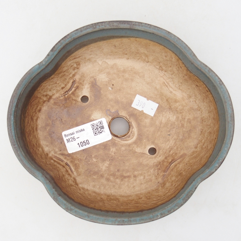 Ciotola bonsai in ceramica 17 x 15,5 x 5,5 cm, colore blu