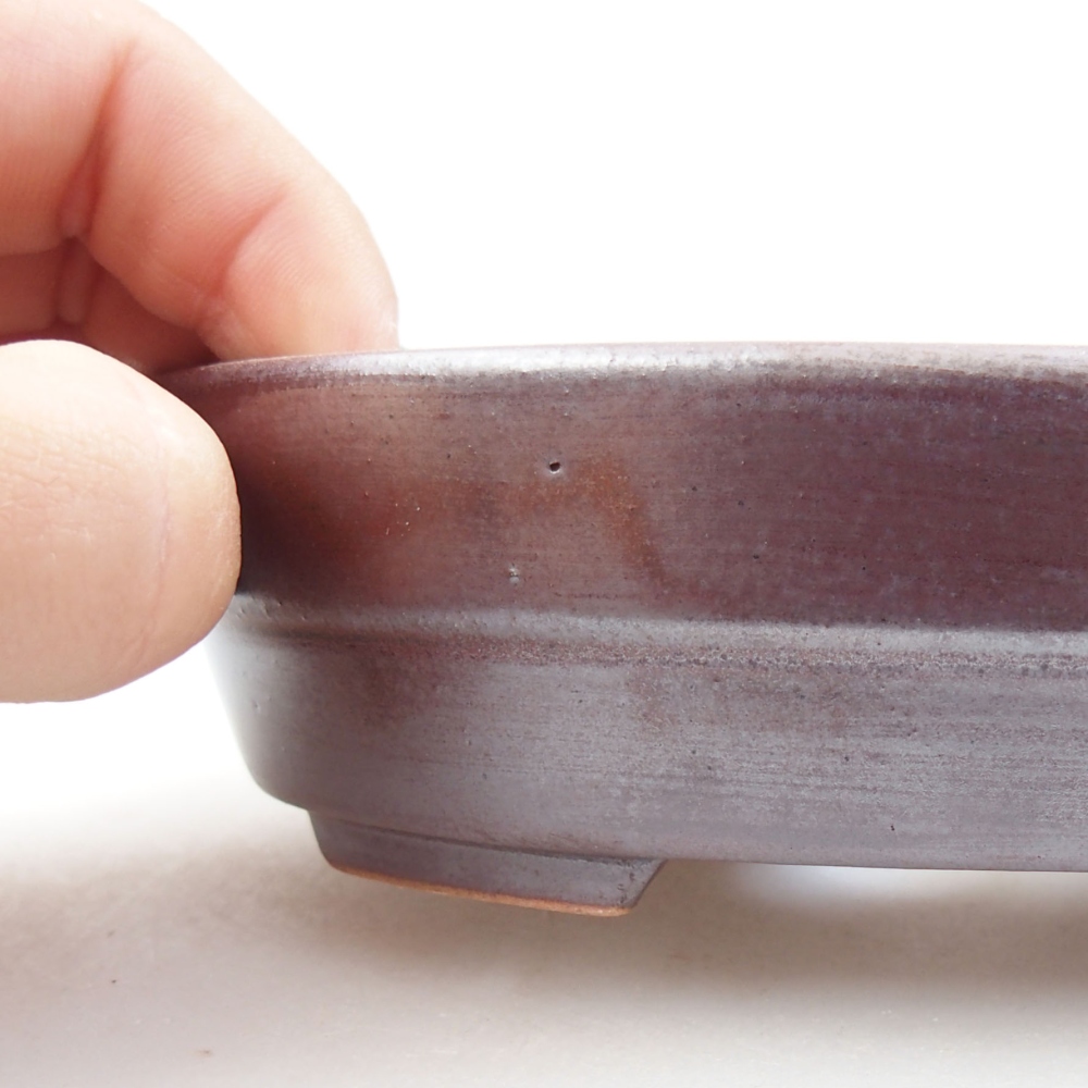 Ciotola bonsai in ceramica 22 x 17 x 5 cm, verde