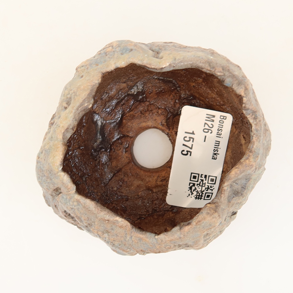 Guscio in ceramica  5,5 x 5,5 x 6 cm , colore blu