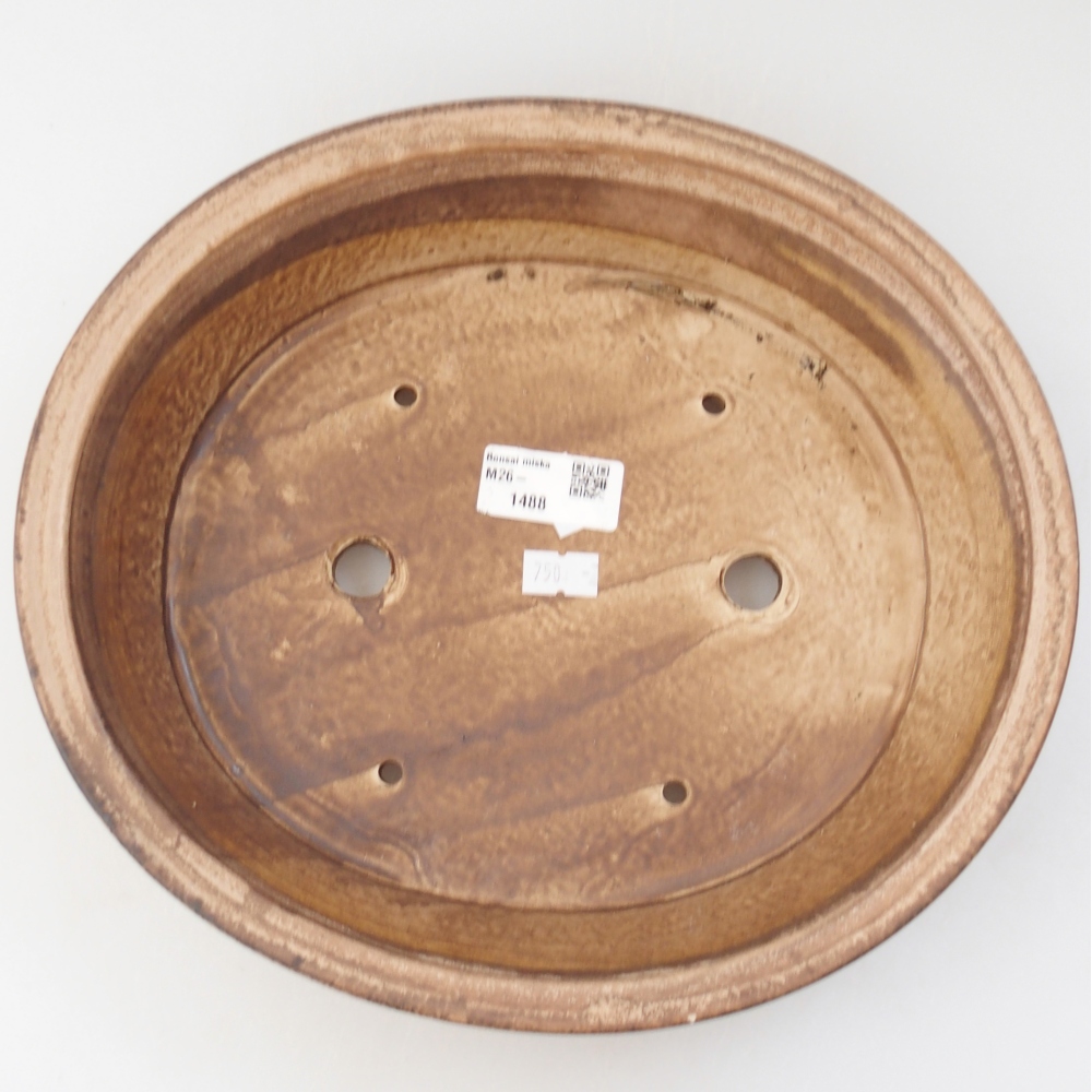 Ciotola per bonsai in ceramica 27 x 24 x 6 cm, colore beige