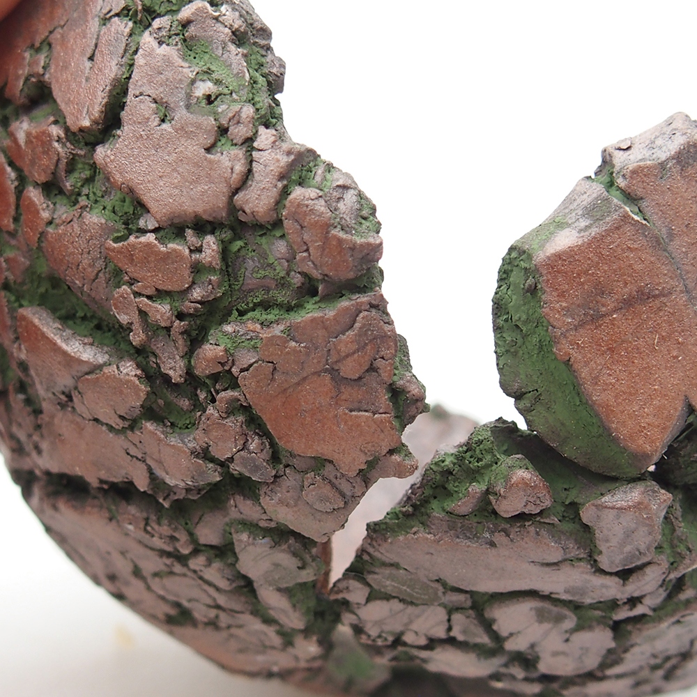 Conchiglia in ceramica 9 x 9,5 x 5,5 cm , colore verde