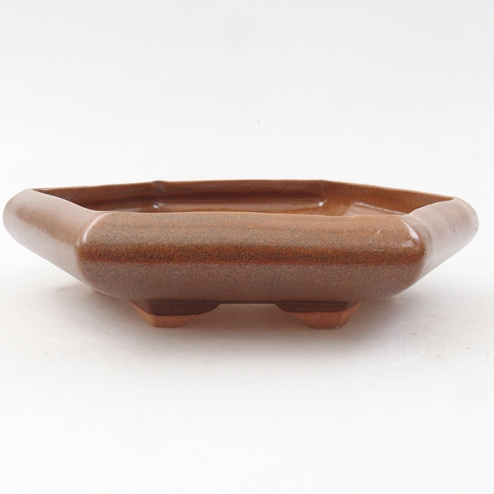 Ciotola per bonsai in ceramica 17 x 15 x 4 cm, marrone
