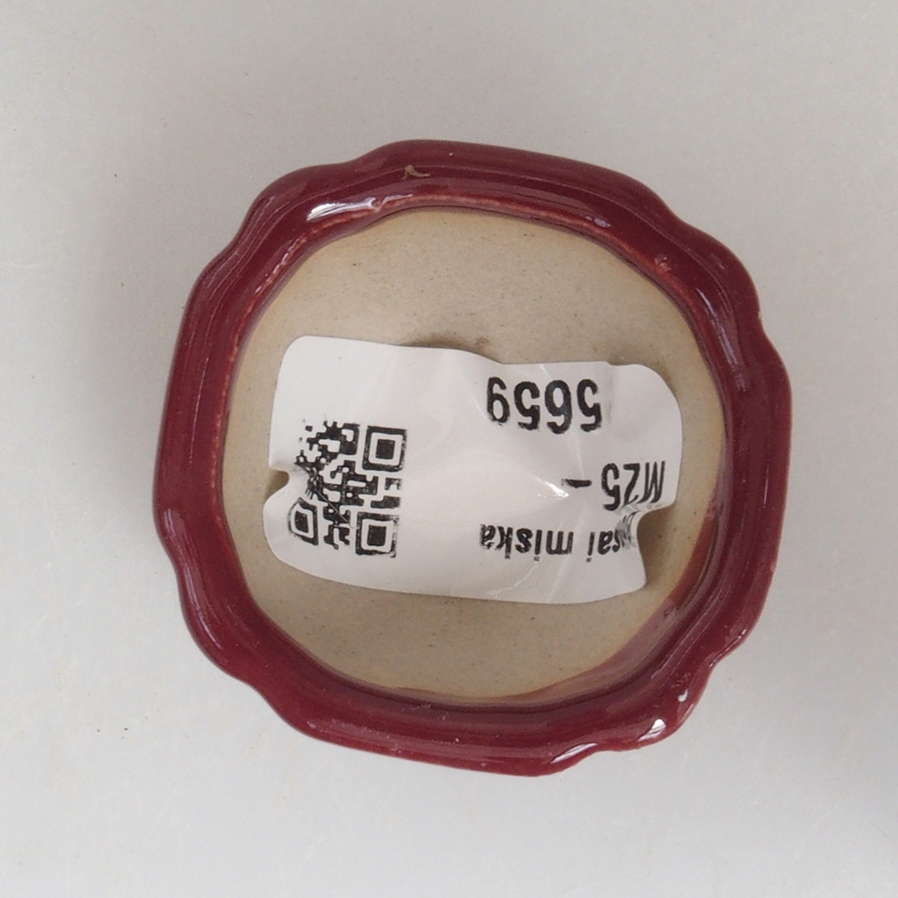 Ciotola per mini bonsai 4,5 x 4,5 x 2,5 cm, bordeaux