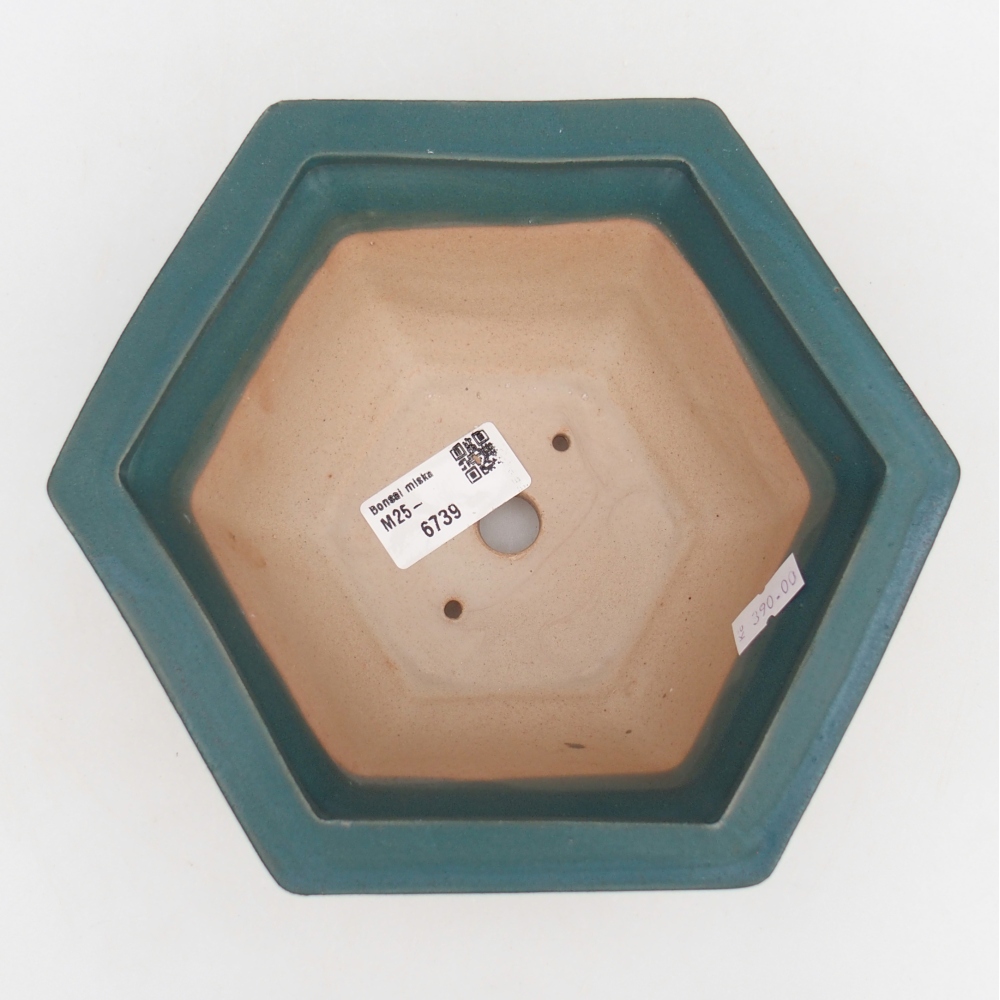 Ciotola bonsai in ceramica 18,5 x 16,5 x 9 cm, colore blu