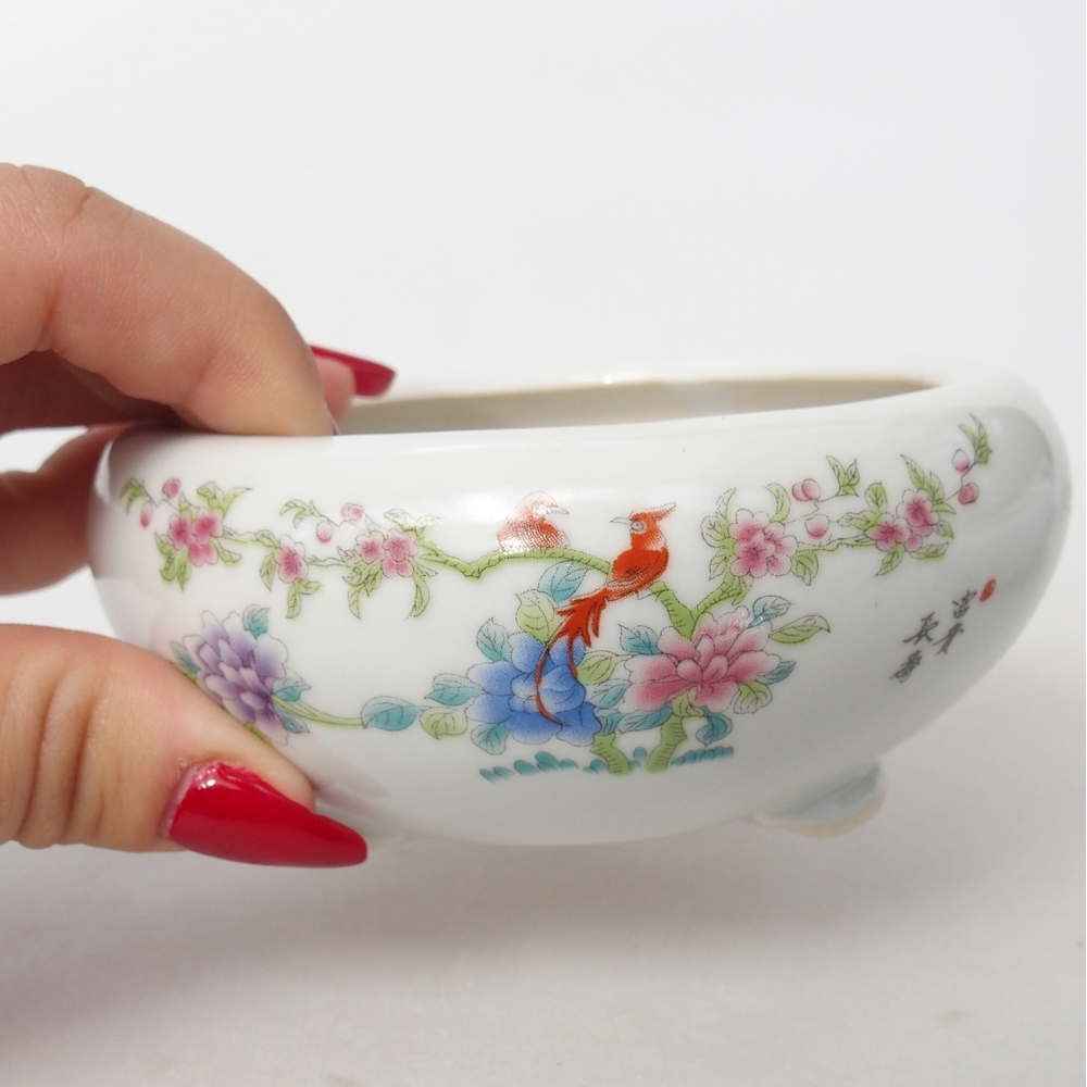 Ciotola per bonsai in ceramica 10 x 10 x 5 cm, colore bianco